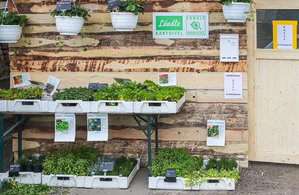 Verschiedene Jungpflanzen vor der Hütte